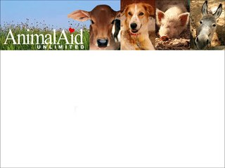 Fast and Furious 8: The Fate of the Furious