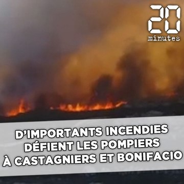 D'importants incendies défient les pompiers à Castagniers et Bonifacio