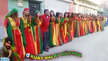 Kurdis dans