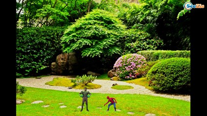 Spiderman & Elsa FISH FLY Batman Attack! Fishing Joker Hulk Batman Superheroes Fun IRL