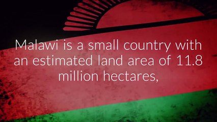 Smallholder Farmers: Feeding Malawi