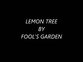 Fool's Garden-Lemon Tree lyrics
