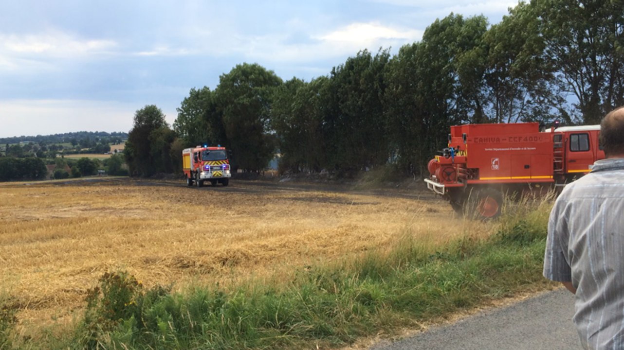 Incendie dans un champ de blé