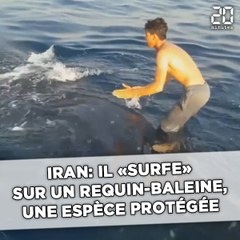 Un pêcheur iranien «surfe» sur un requin et révolte le web