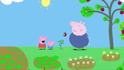 Peppa Pig En Español, Peppa Pig Y George La Hortaliza