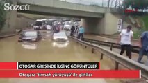 Otogara 'timsah yürüyüşü' ile gittiler