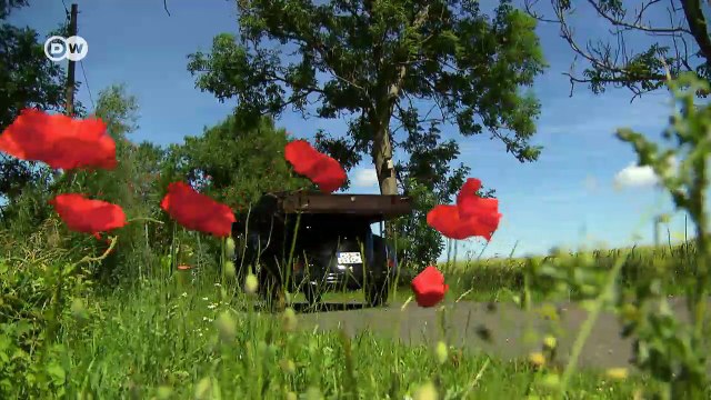 Vintage - VW Beetle Pickup | DW English