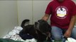 ‘Miracle Dog’ Survives Gunshot Wounds, Horrific Injuries