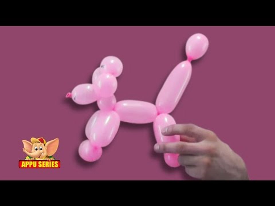 Balloon Sculpting - Learn to sculpt a Poodle