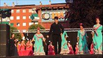 Cuadro Flamenco Can Parellada. Fiesta Mayor de Can Parellada 2017