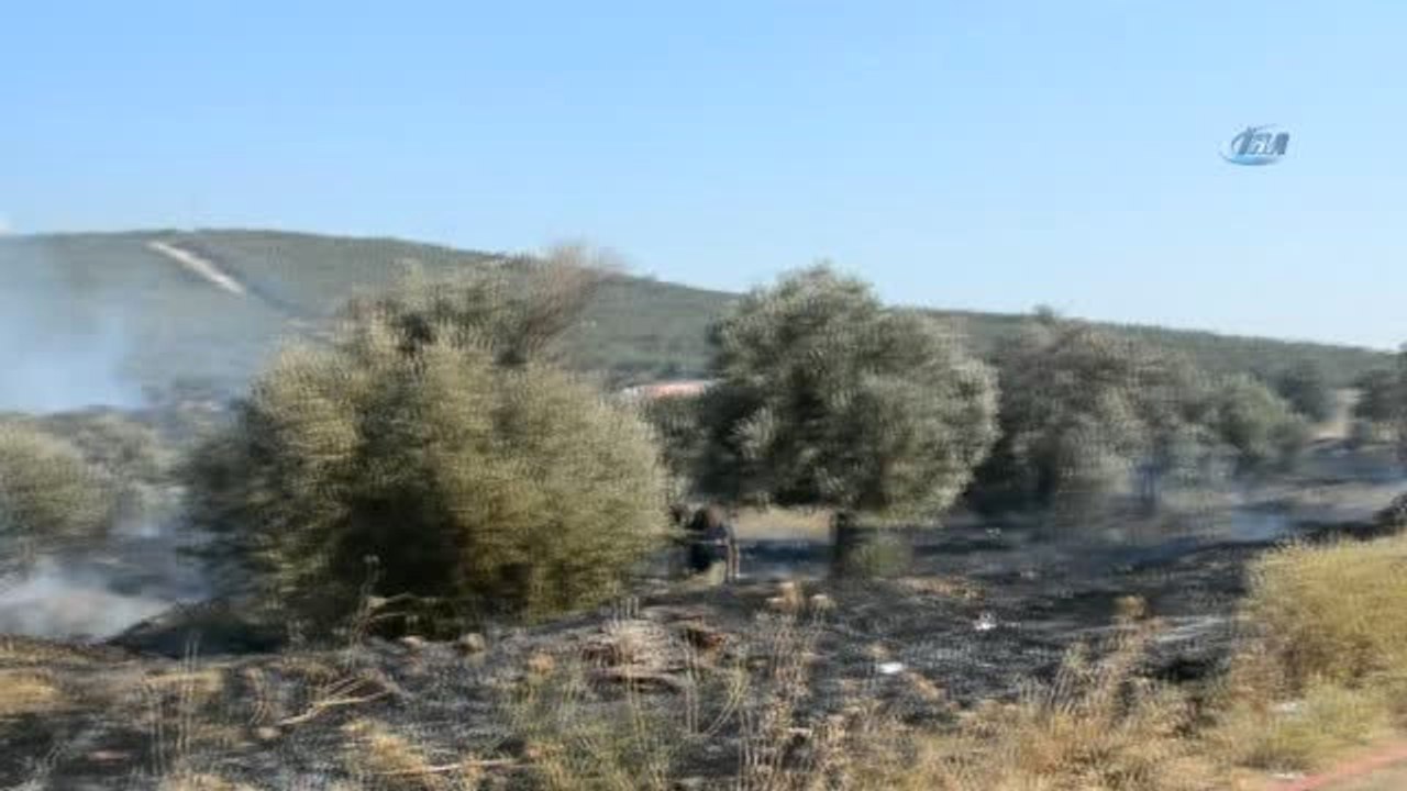 İzmir'de Otluk Alanda Yangın