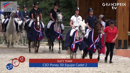 CSO Poney 3 D Equipe Cadet 2