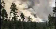 Firefighters Battle Fire Near Williams Lake