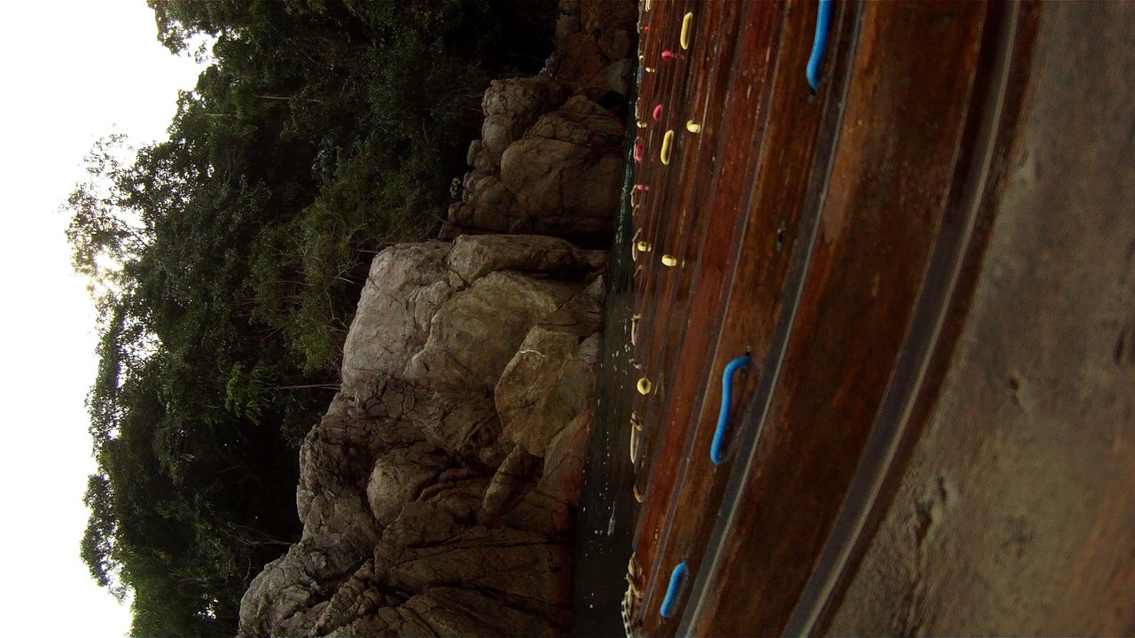 Expedição Tartaruga Marinha, Ubatuba, SP, Brasil, 2017, mares, praias, apneia contemplativa, ap