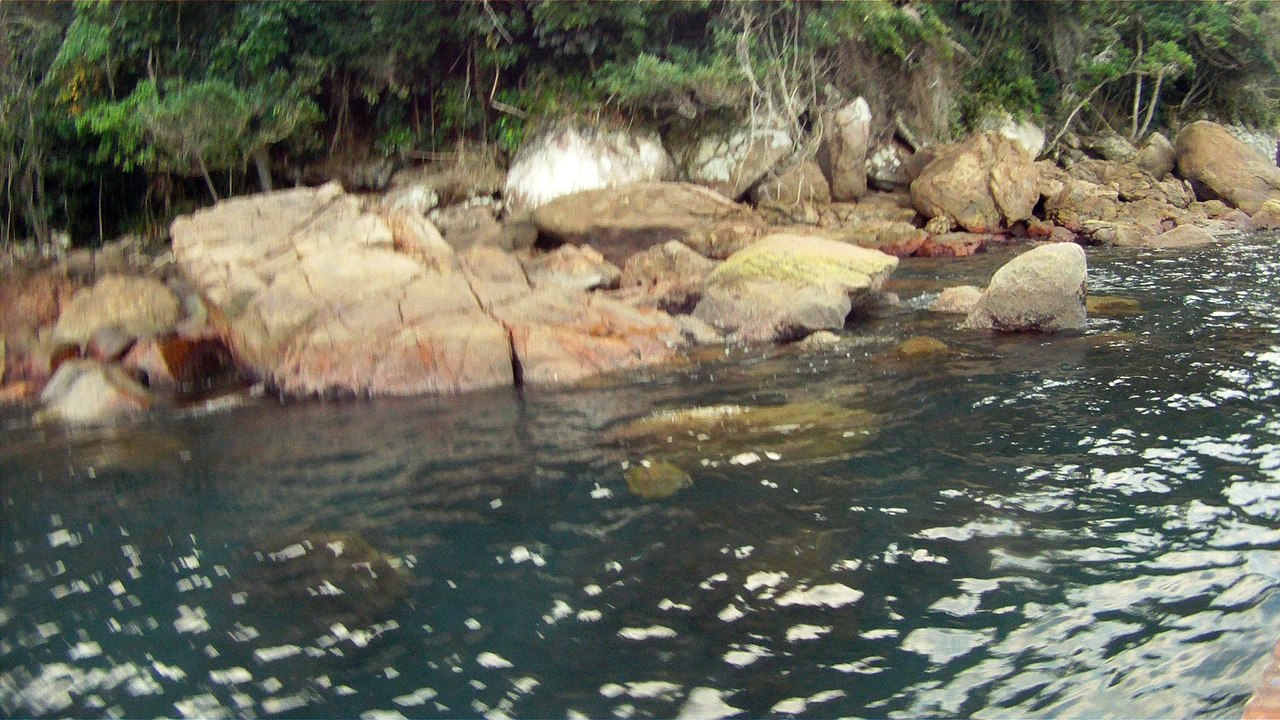 Expedição Tartaruga Marinha, Ubatuba, SP, Brasil, 2017, mares, praias, apneia contemplativa, ap