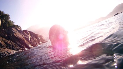 Expedição Tartaruga Marinha, Ubatuba, SP, Brasil, 2017, mares, praias, apneia contemplativa, ap