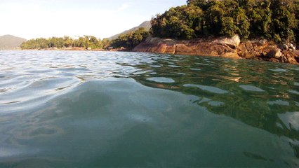 Expedição Tartaruga Marinha, Ubatuba, SP, Brasil, 2017, mares, praias, apneia contemplativa, ap