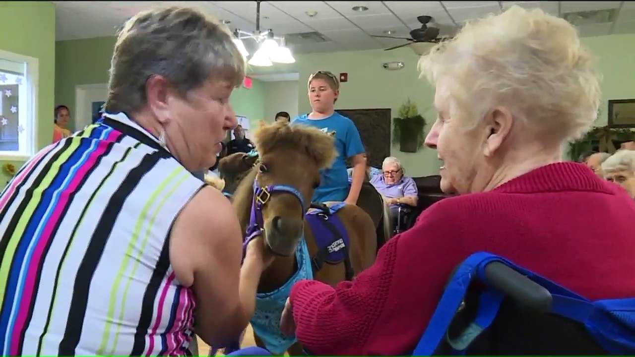 Therapy Horses Bring Relief to Patients Suffering from Pain, Depression