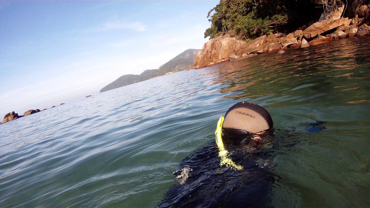 Expedição Tartaruga Marinha, Ubatuba, SP, Brasil, 2017, mares, praias, apneia contemplativa, ap