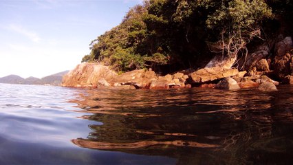 Expedição Tartaruga Marinha, Ubatuba, SP, Brasil, 2017, mares, praias, apneia contemplativa, ap