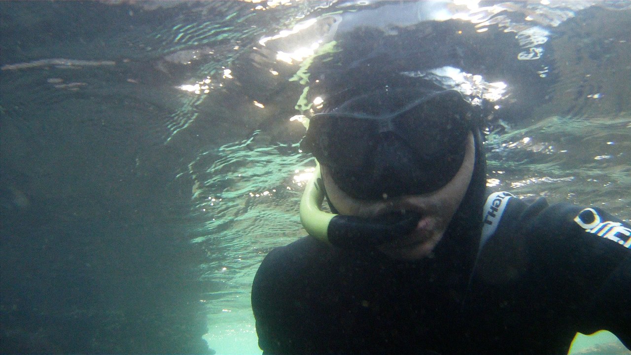 Expedição Tartaruga Marinha, Ubatuba, SP, Brasil, 2017, mares, praias, apneia contemplativa, ap