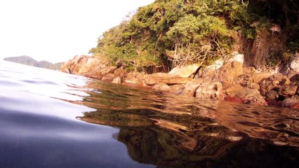Expedição Tartaruga Marinha, Ubatuba, SP, Brasil, 2017, mares, praias, apneia contemplativa, ap