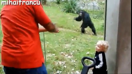 The greatest song ever - Donny Montell - Move your body (unofficial video)