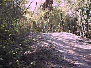 mon pote avec son 250