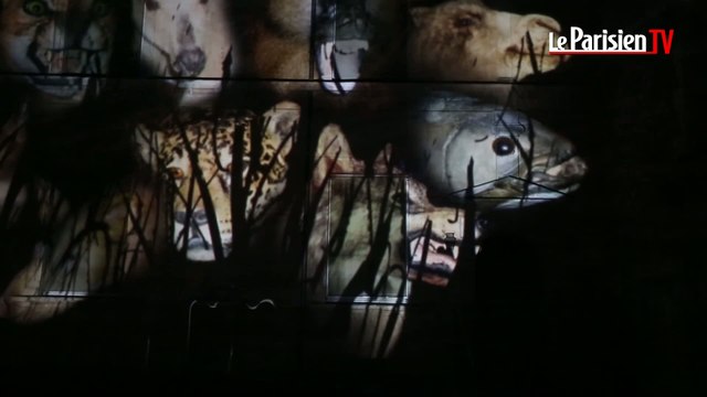 La Nuit des Chimères émerveille Le Mans