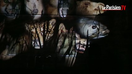 La Nuit des Chimères émerveille Le Mans