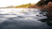 Expedição Tartaruga Marinha, Ubatuba, SP, Brasil, 2017, mares, praias, apneia contemplativa, ap