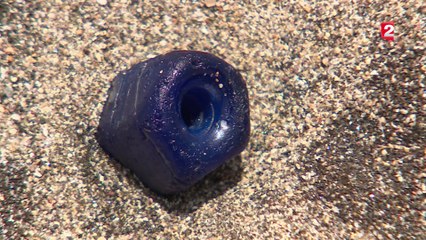 À la recherche des perles bleues, trésor colonial de Saint-Eustache