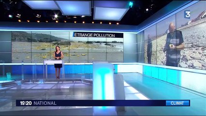 Pas-de-Calais : une pollution d’origine mystérieuse