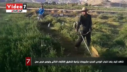 شباب ينفذون مشروعات زراعية لتحقيق الاكتفاء الذاتى بالداخلة