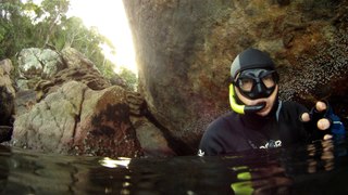 Expedição Tartaruga Marinha, Ubatuba, SP, Brasil, 2017, mares, praias, apneia contemplativa, ap