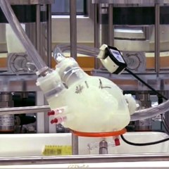 This 3-D printed artificial heart works just like a real one