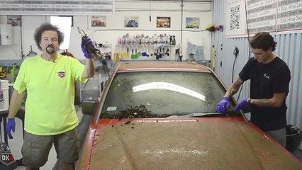 These Car Detailing Dudes Do The Impossible