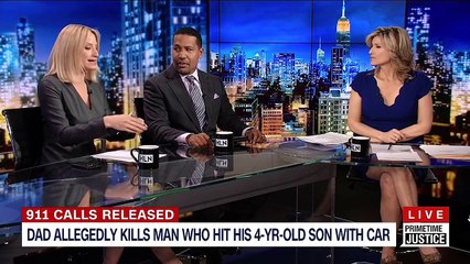 Ashleigh Banfield 04:04:17 (1080P LEG ZOOM) Primetime Justice HLN
