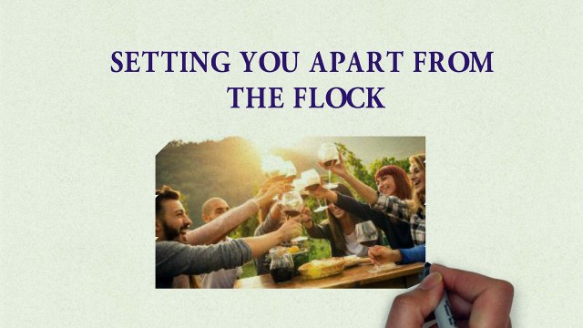 Web Design in Lakewood