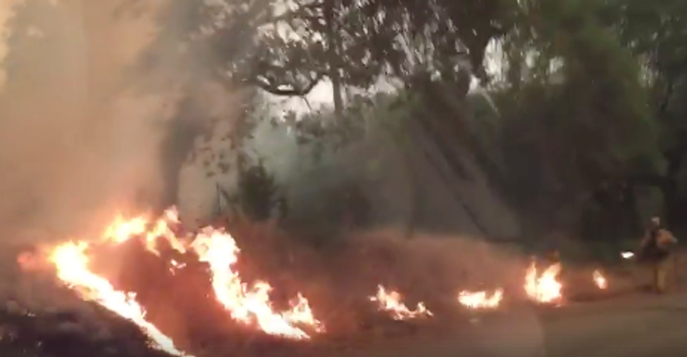 Evacuations Ordered as Firefighters Work to Contain Detwiler Fire Near Yosemite