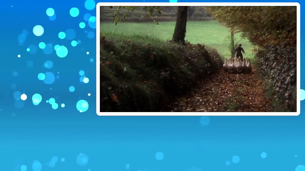 The Duellists (1977) Movie ** Keith Carradine, Harvey Keitel, Albert Finney