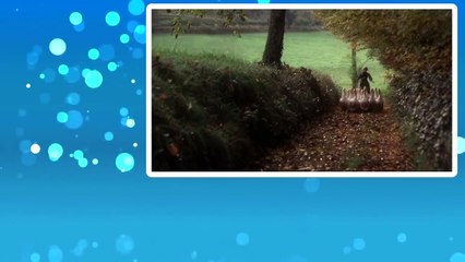 The Duellists (1977) Movie ** Keith Carradine, Harvey Keitel, Albert Finney