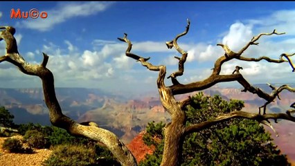 The Ventures - Scat In The Dark (Best World Instrumental Relax HD) Mu©o