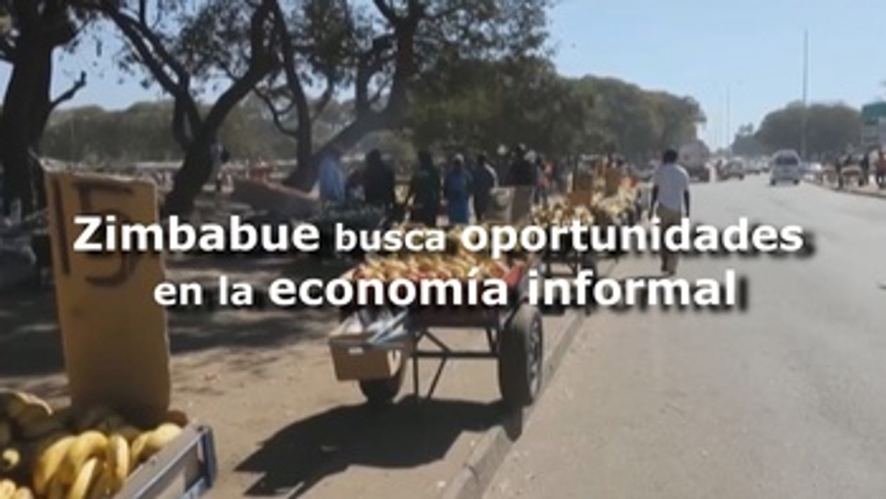 La economía informal como fuente de subsistencia para los zimbabueses
