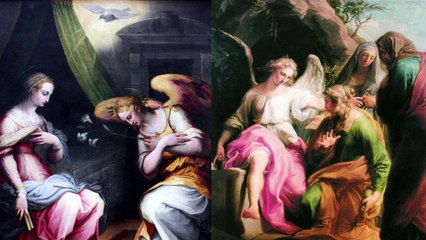 Succulent Delights 7