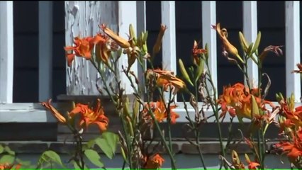 Ex-Boyfriend Holding Missing Cleveland Woman Against Her Will, Police Say