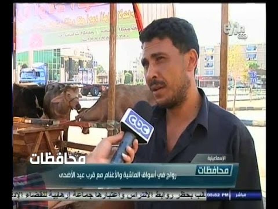 #أخبار‪_‬المحافظات | الاسماعيلية..رواج في أسواق الماشية والأغنام مع قرب عيد الاضحى