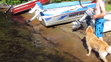 Funny dog takes bathroom break in the lake!
