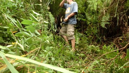 Explore Tamparuli jungle - Borneo sabah