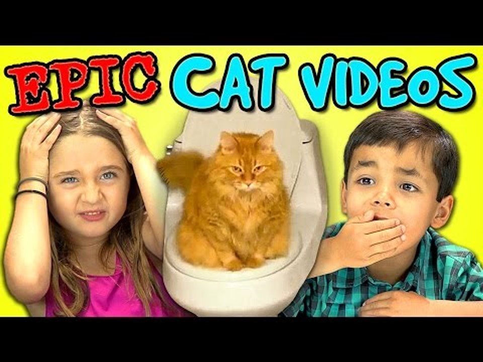 Kids React Bonus - Epic Cat Videos!